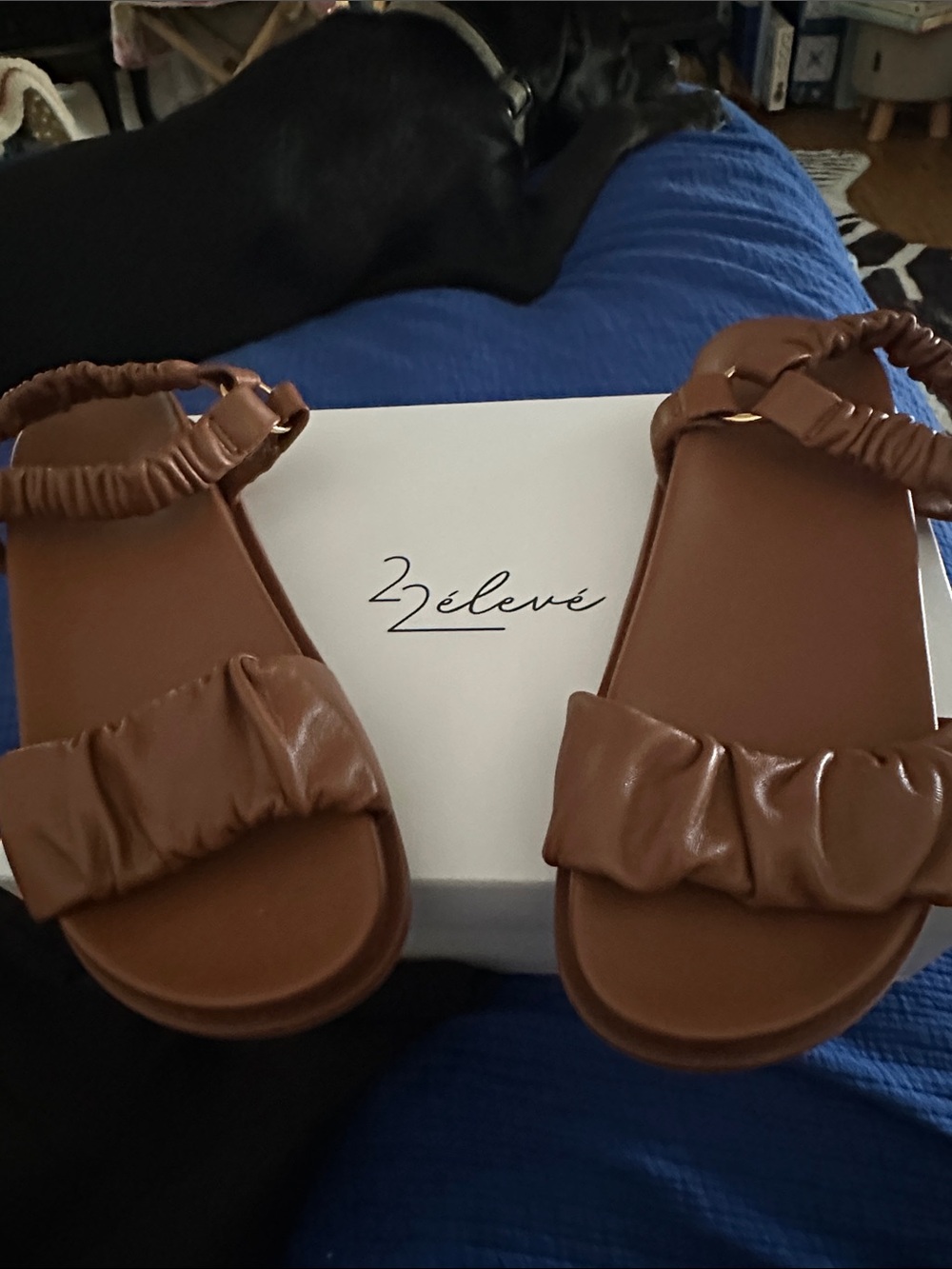 2élevé Brown Padded Strap Sandals